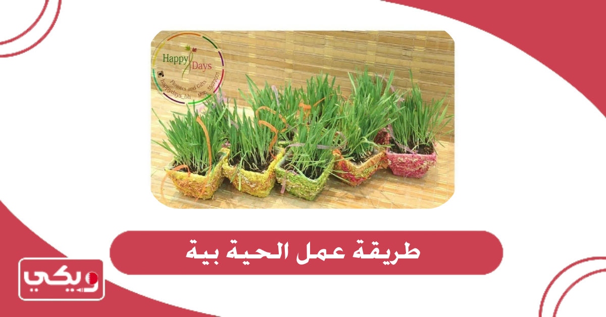 طريقة عمل الحية بية